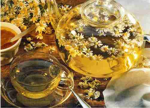Medicinal Tea Chamomile Herb